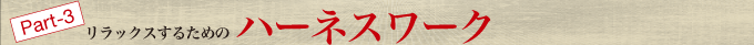 リラックスするためのハーネスワーク